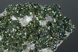 Lustrous Marcasite Crystals on Calcite - Linwood Mine, Iowa #176023-1